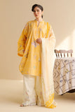 Coco by Zara Shahjahan -  Drop Two - Luna-10B